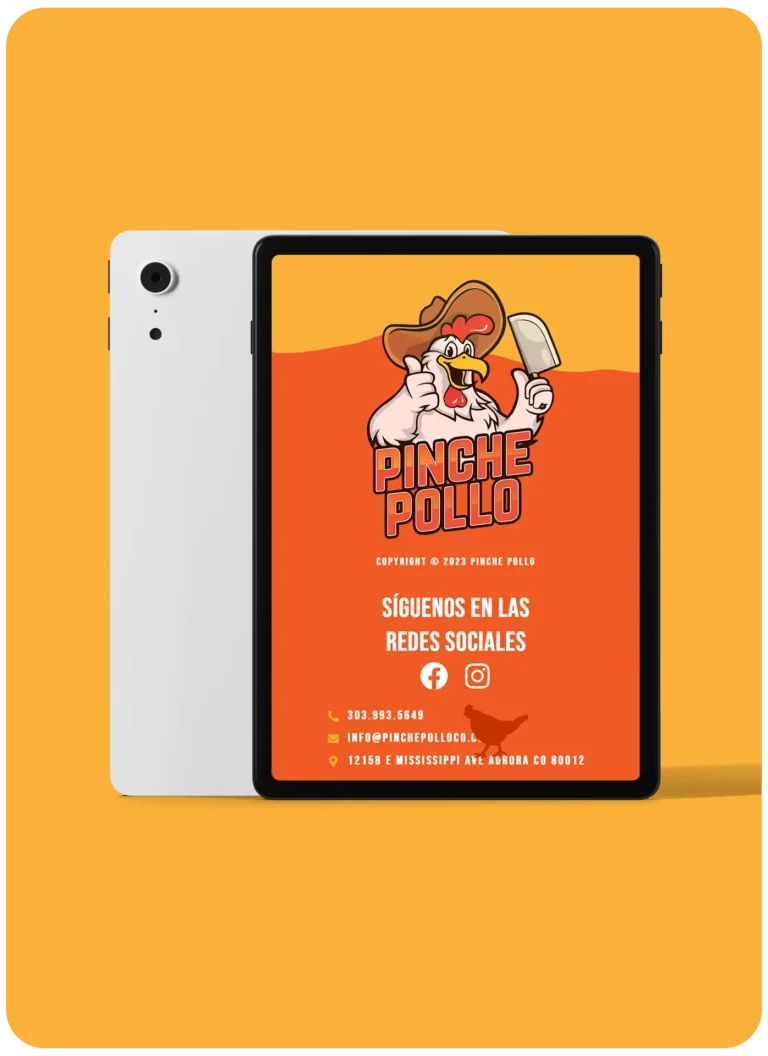 Projects New 24_Pollo